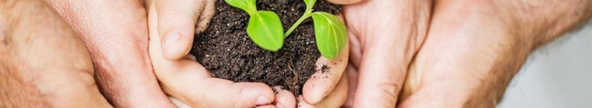 BusinessOwners3 BusinessOwners3