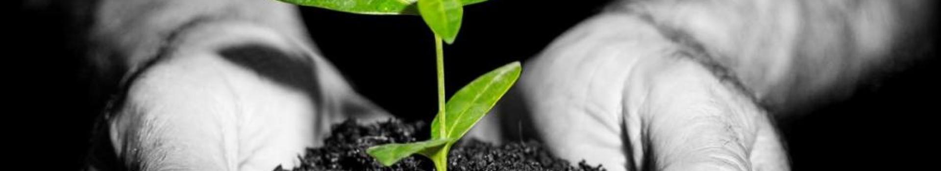 BusinessOwners4 BusinessOwners4