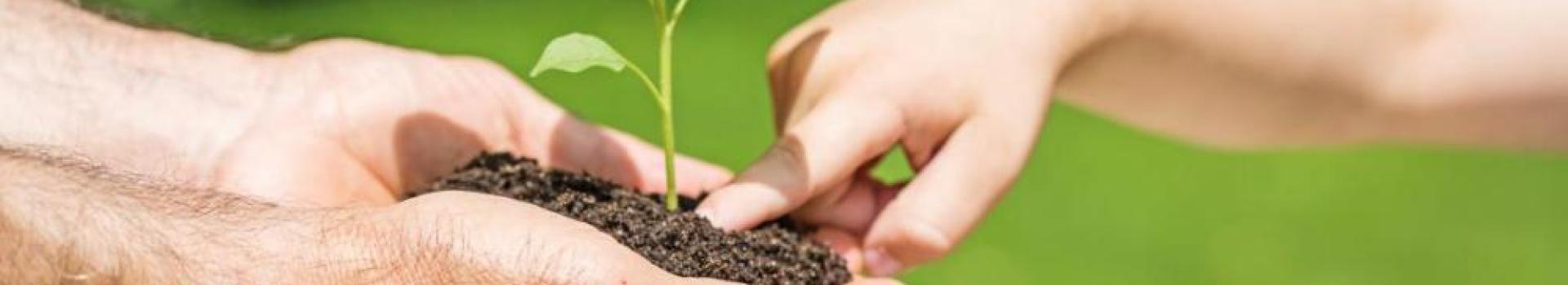 BusinessOwners5 BusinessOwners5